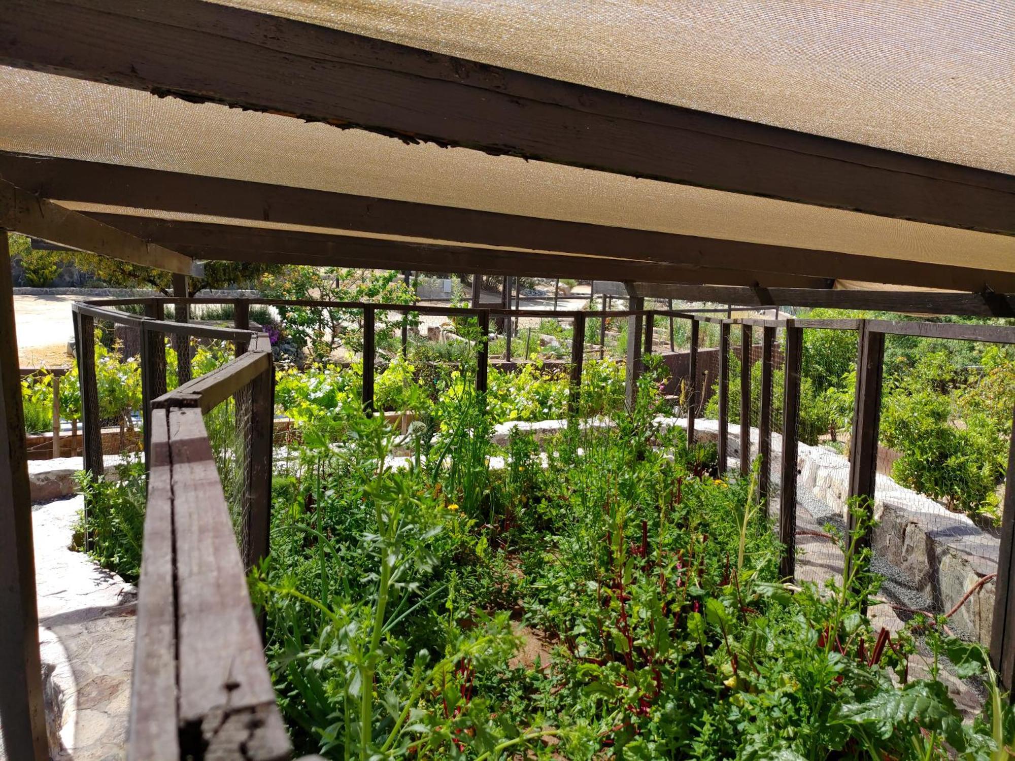 Hacienda Eco-Domes Villa Valle de Guadalupe Buitenkant foto