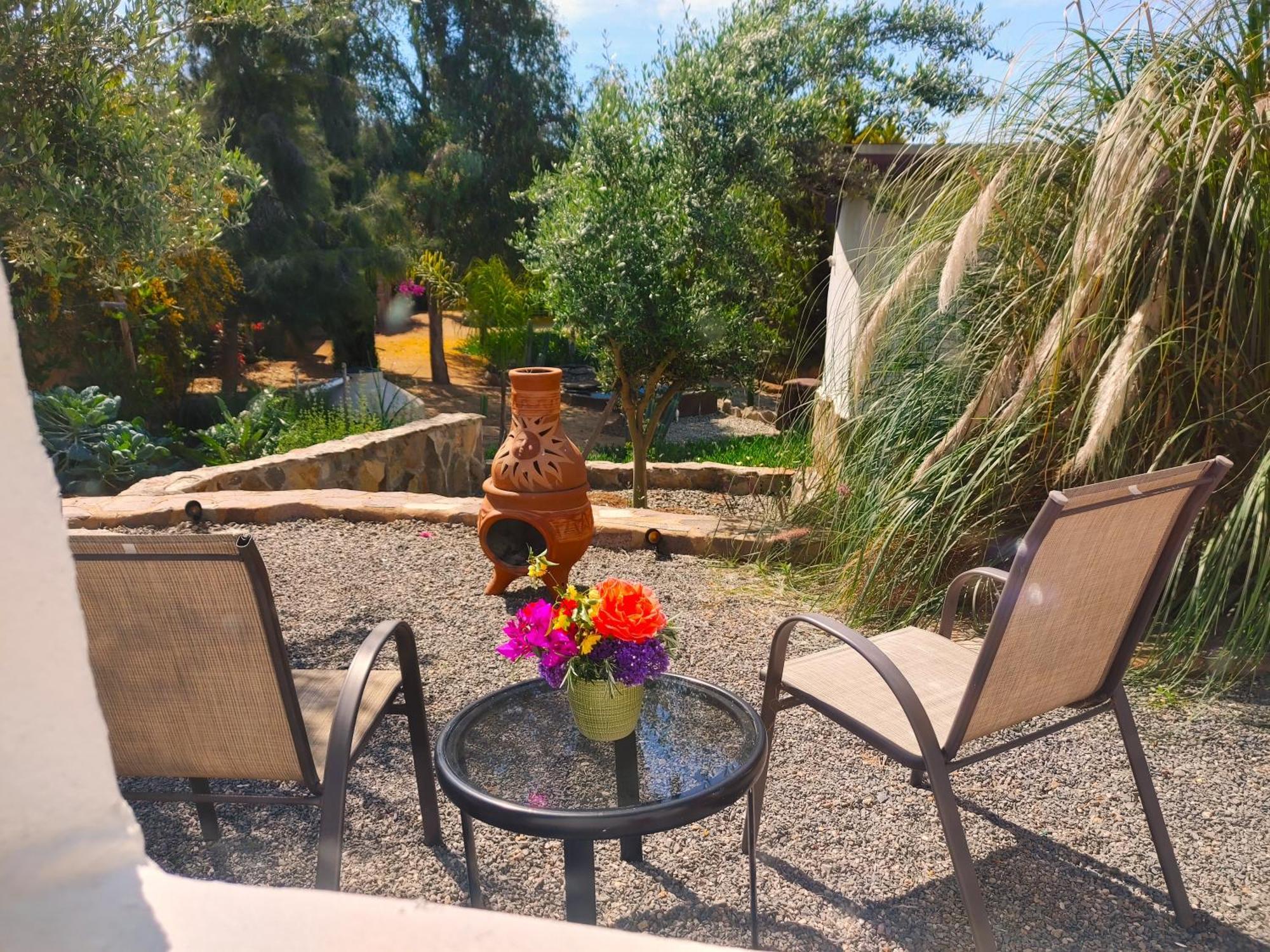 Hacienda Eco-Domes Villa Valle de Guadalupe Buitenkant foto