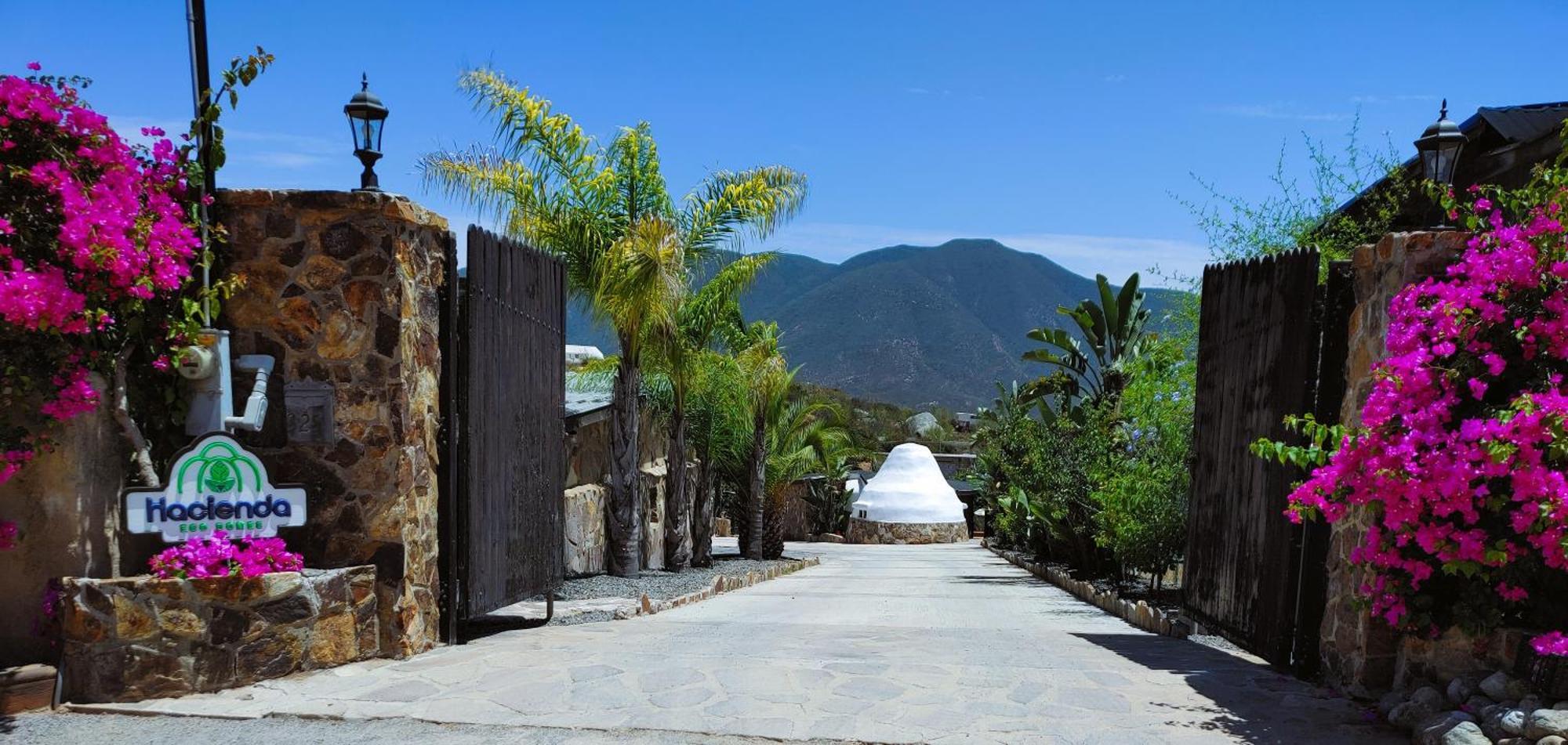 Hacienda Eco-Domes Villa Valle de Guadalupe Buitenkant foto